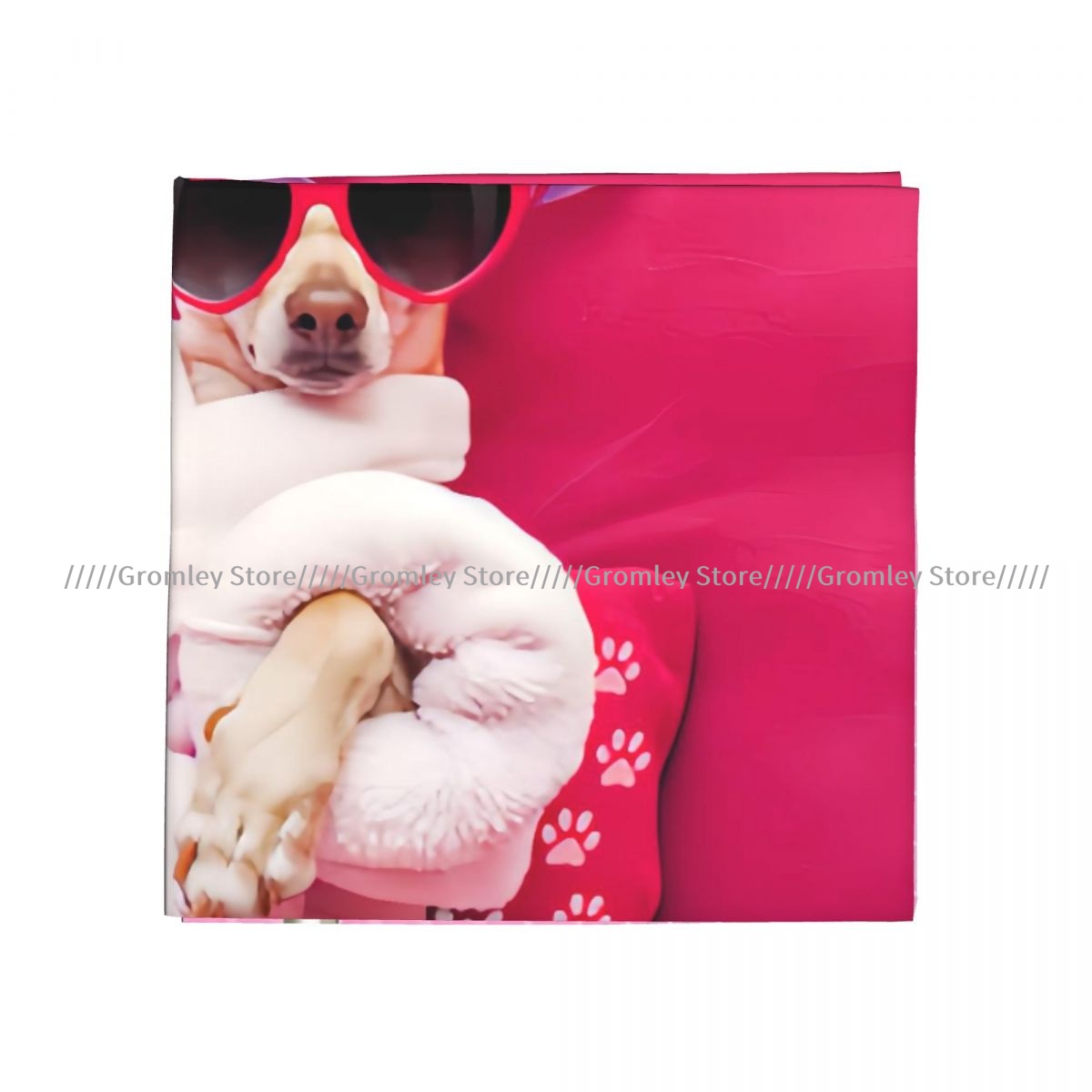 Chihuahua Köpeği Rahatlamakta  - Spa Wellness In incelemesi ve fiyatı
